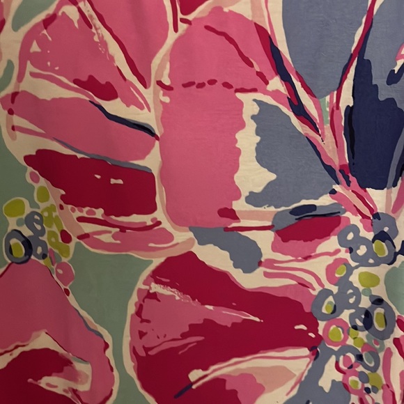 Like new Lilly Pulitzer dress - Picture 3 of 5